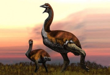 Vorombe titan. Изображение: Jaime Chirinos / zsl.org