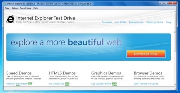 Microsoft   Internet Explorer 10
