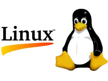 Linux      2011 .