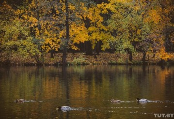 Фото: Александр Васюкович, TUT.BY