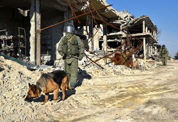 Фото: syria.mil.ru